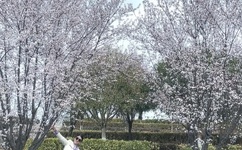 中文乱码字慕人妻熟女人妻